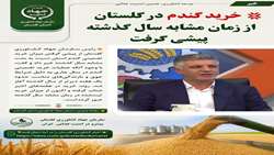 خرید گندم در گلستان از زمان مشابه سال گذشته پیشی گرفت